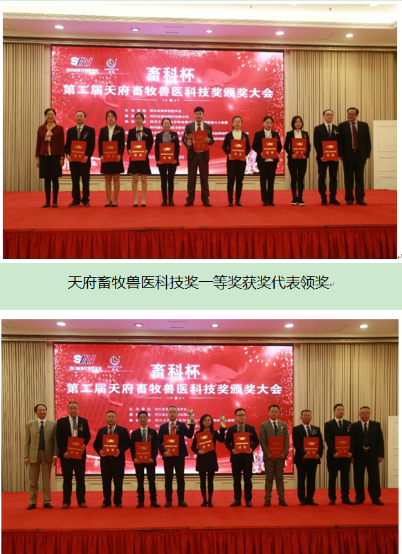 QQ圖片20191225170016.png