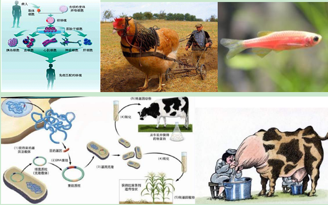 QQ圖片20200826160923.png