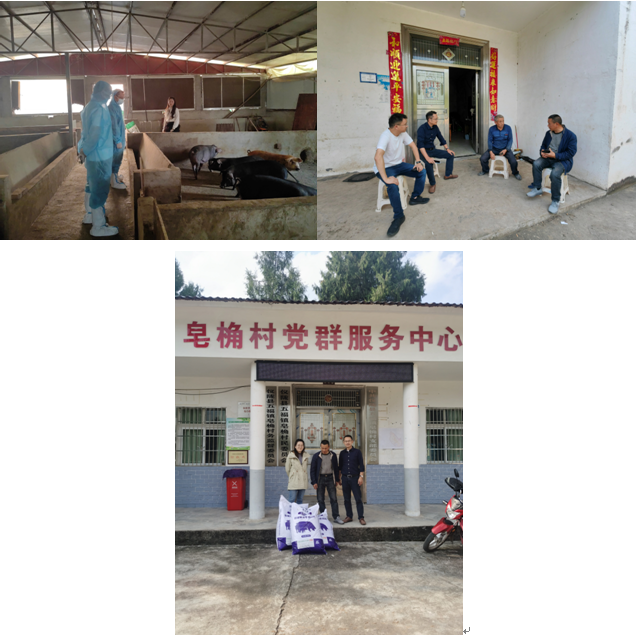 QQ圖片20231113100446.png